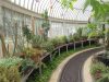 Belfast-palm-house-botanical-garden-5-Copy