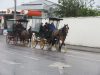 Killarney-Jarveys-driving-carriages-into-national-park